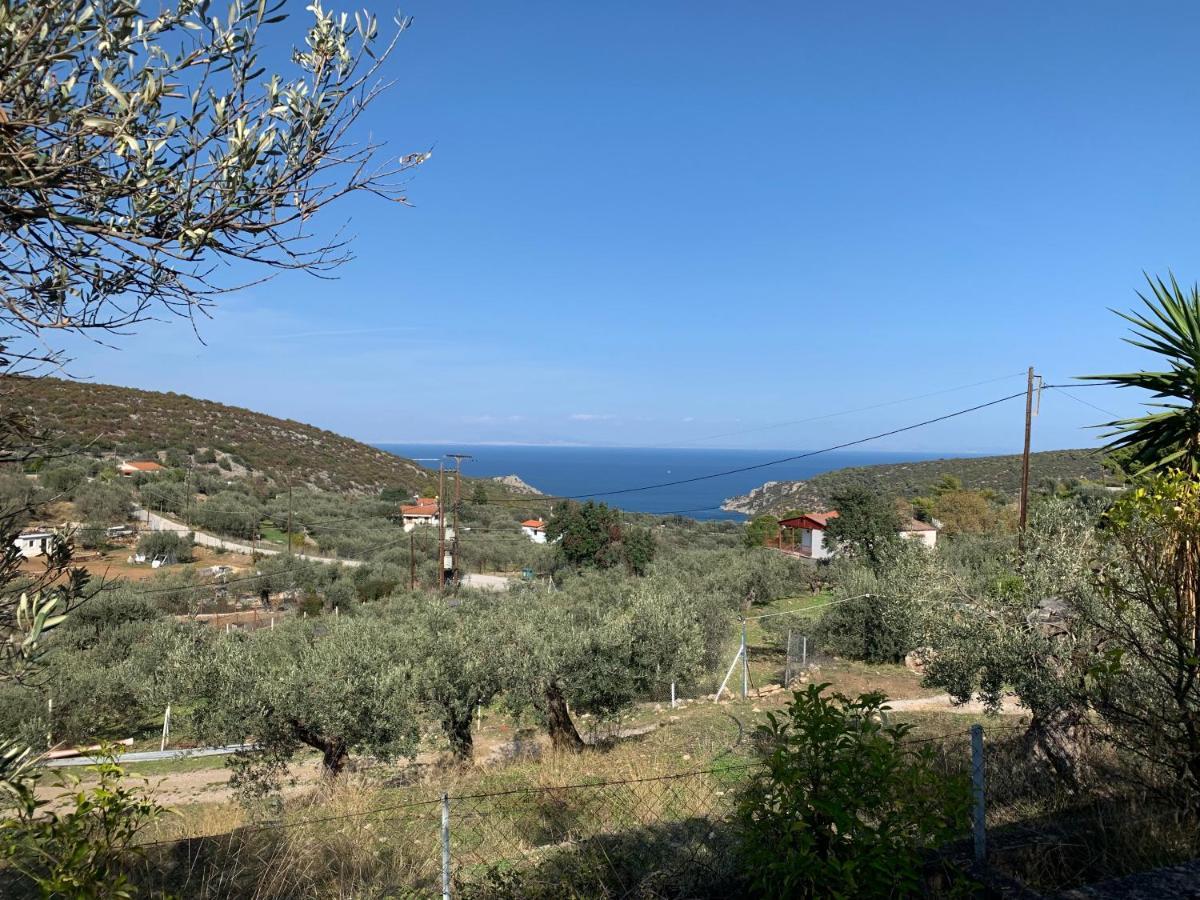 Olive Hill Private House Villa Poros Town Buitenkant foto