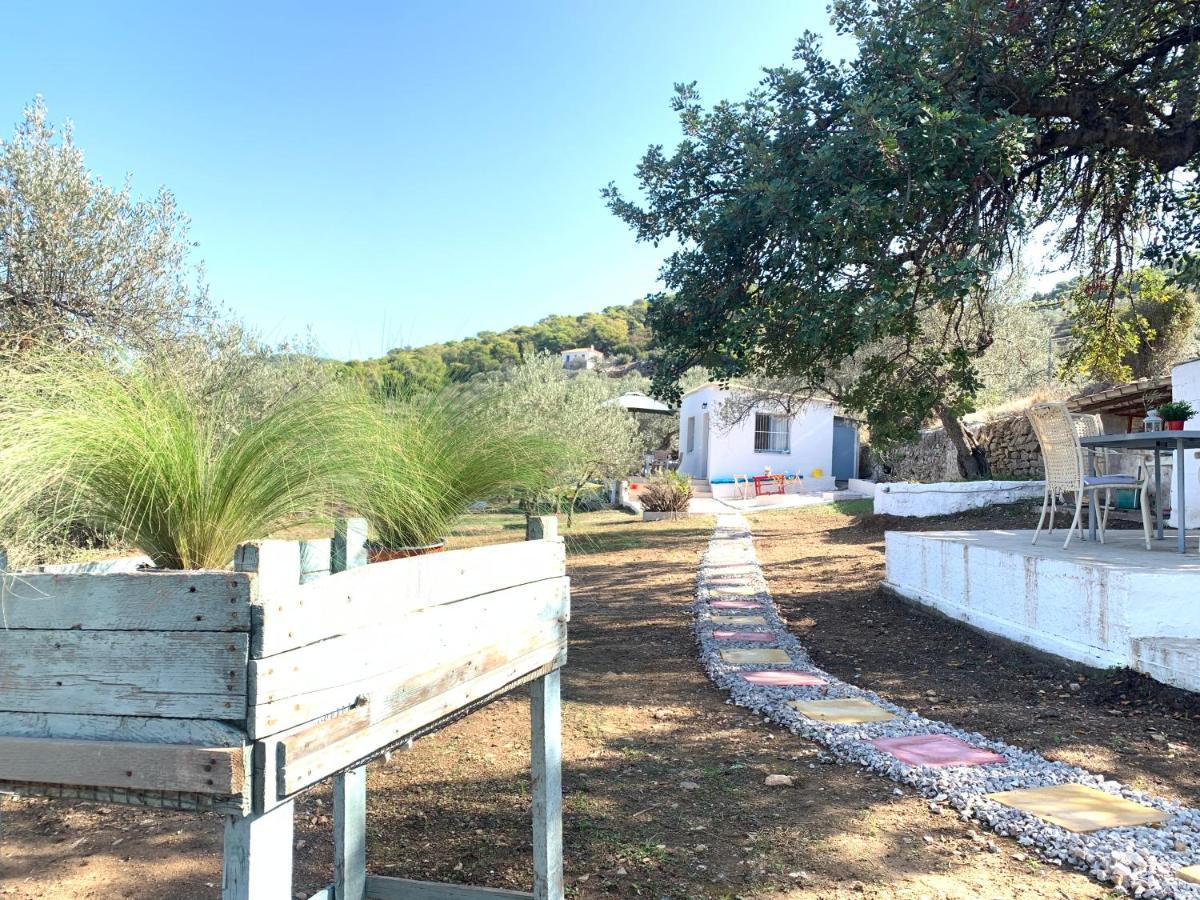 Olive Hill Private House Villa Poros Town Buitenkant foto