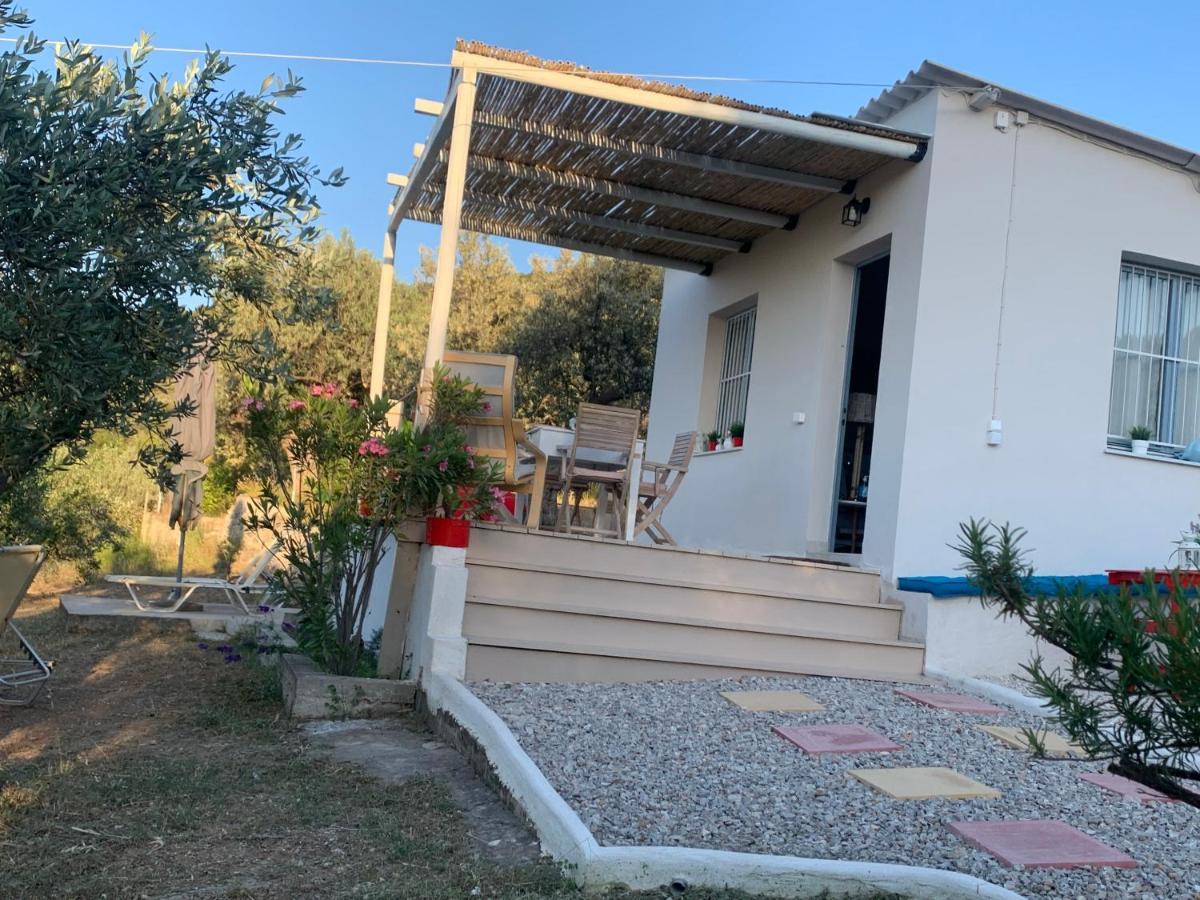 Olive Hill Private House Villa Poros Town Buitenkant foto